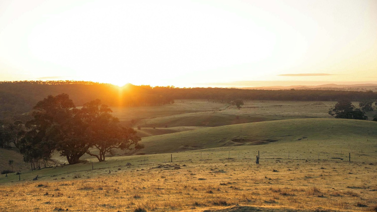 Photo of Others in Metcalfe