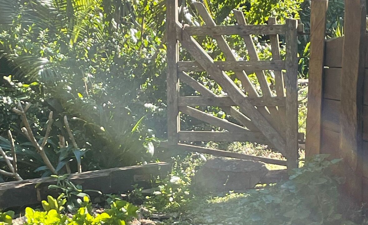 Photo of Outdoor in Scotts Head