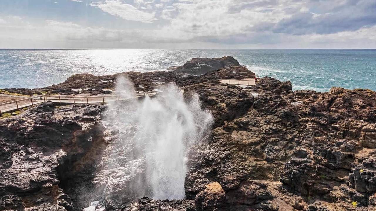 Photo of Others in Kiama