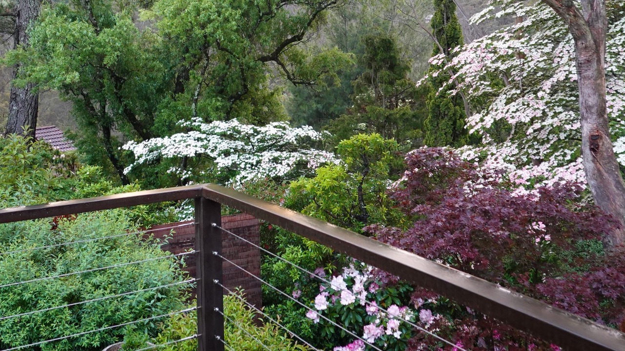 Photo of Outdoor in Wentworth Falls
