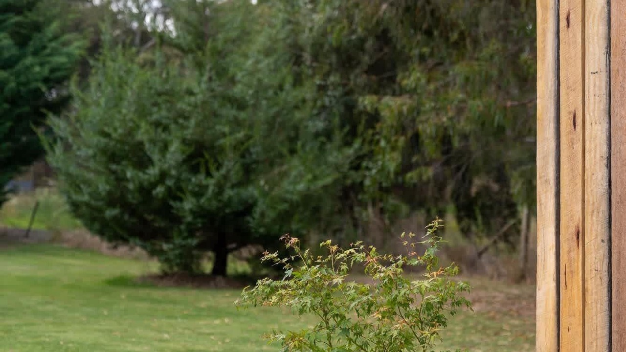 Photo of Outdoor in Orange