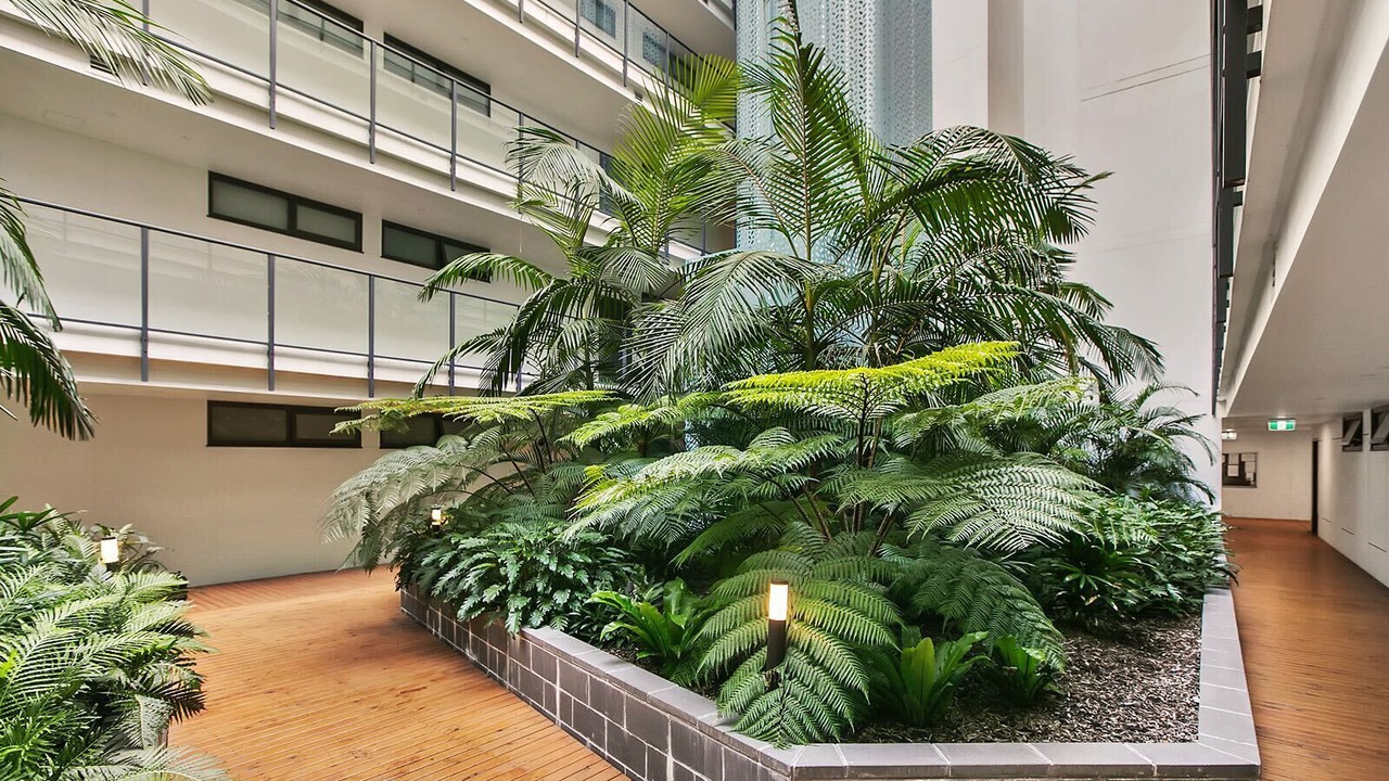 Photo of Outdoor in Dee Why