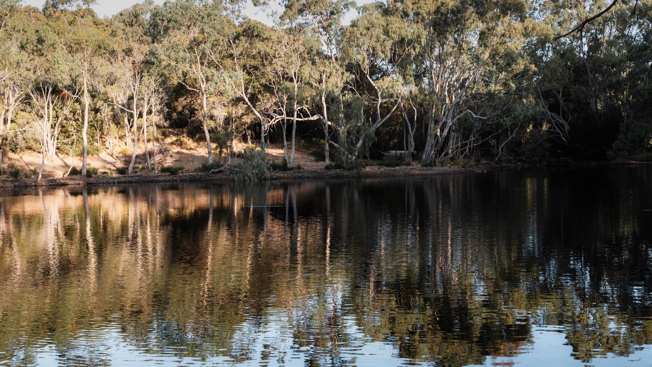 Photo of Others in Margaret River
