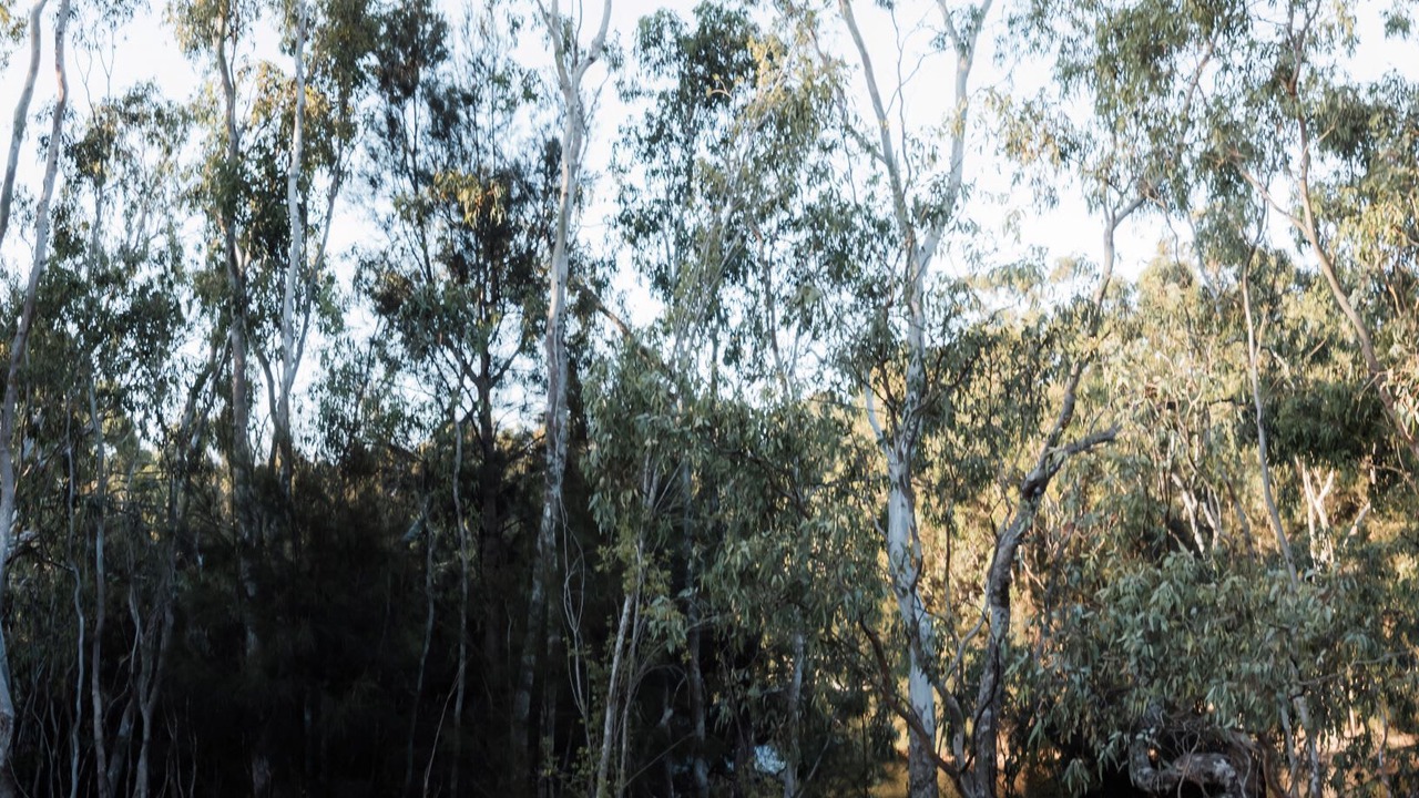 Photo of Others in Margaret River