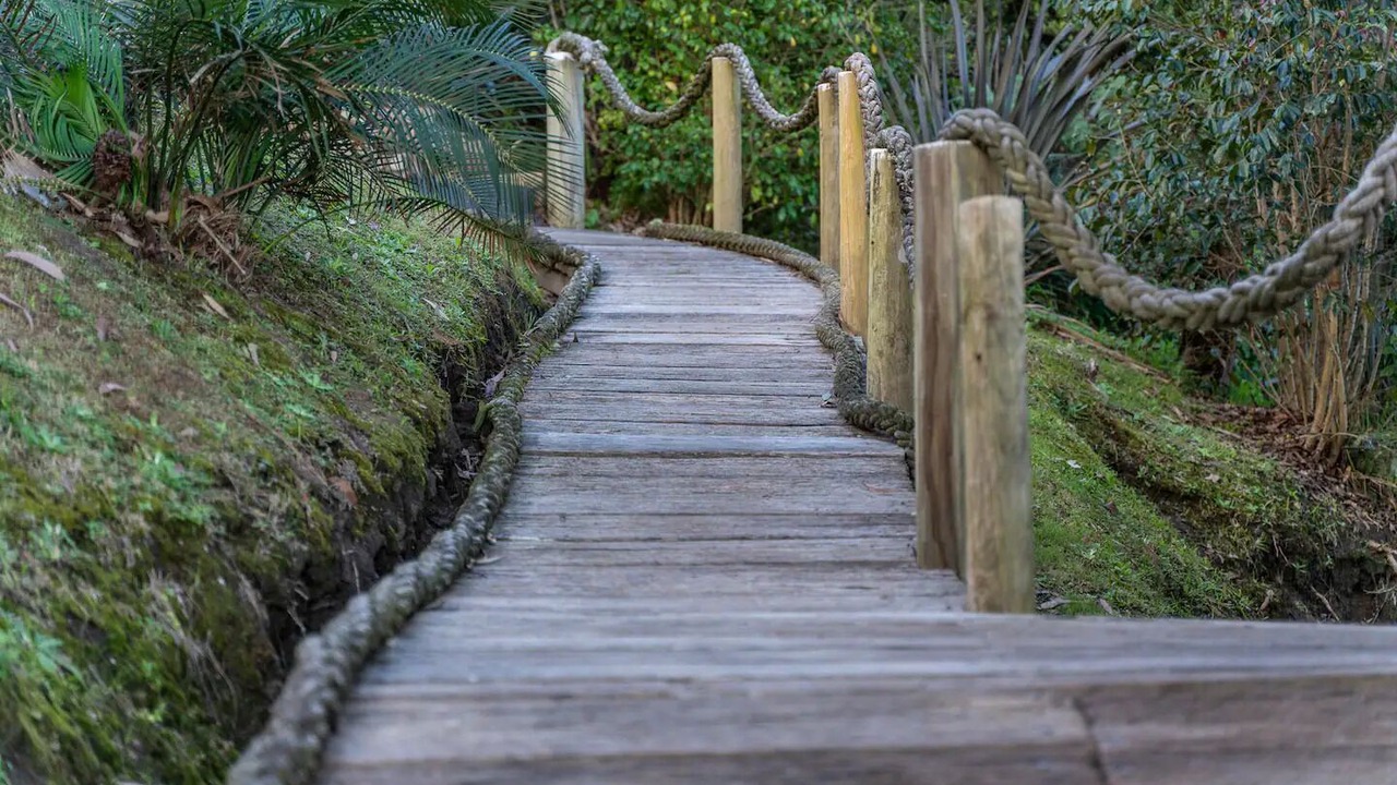 Photo of Outdoor in Daleys Point
