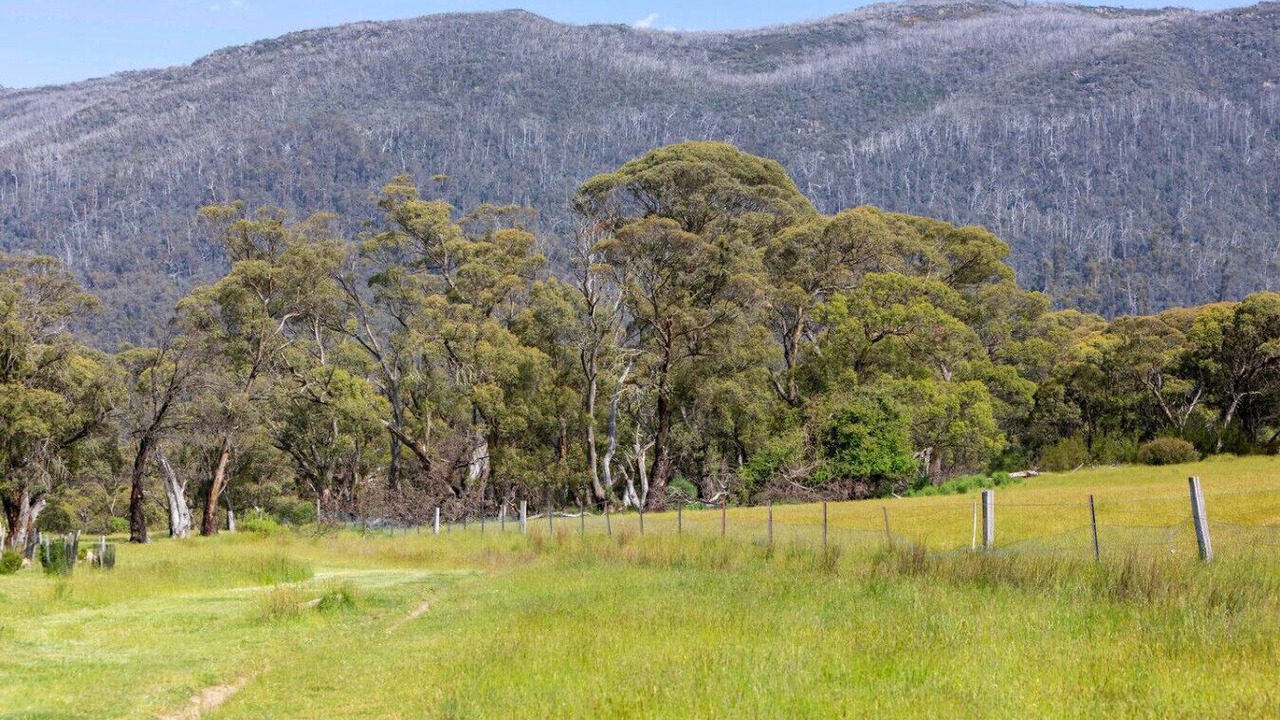 Photo of Others in Lake Crackenback