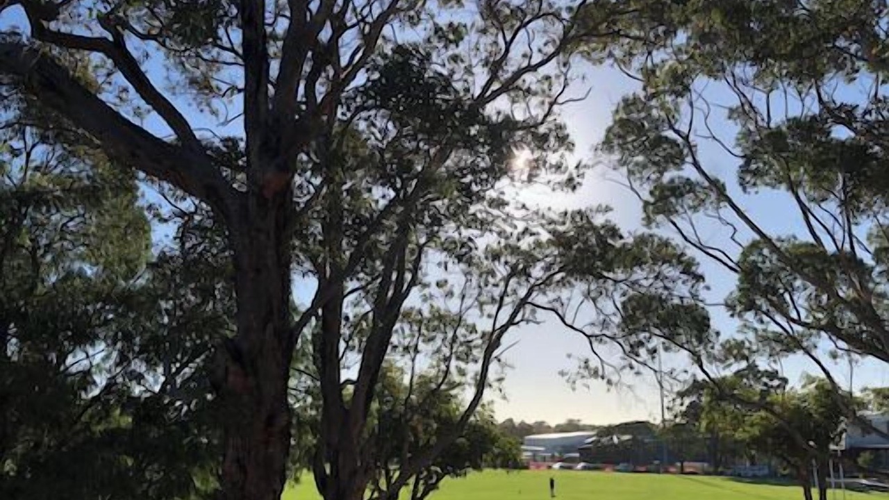 Photo of Others in Margaret River