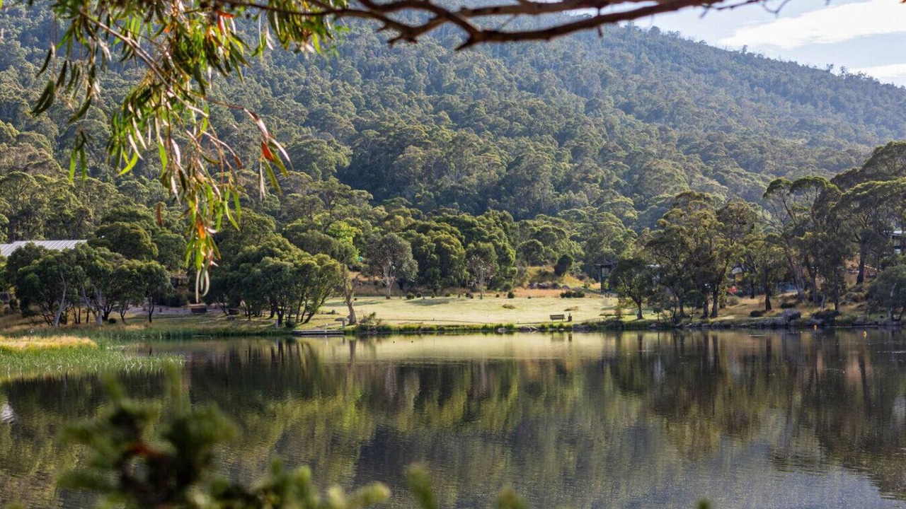 Photo of Others in Crackenback