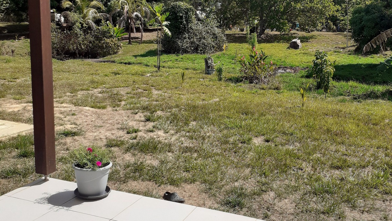 Photo of Outdoor in Montsinery-Tonnegrande