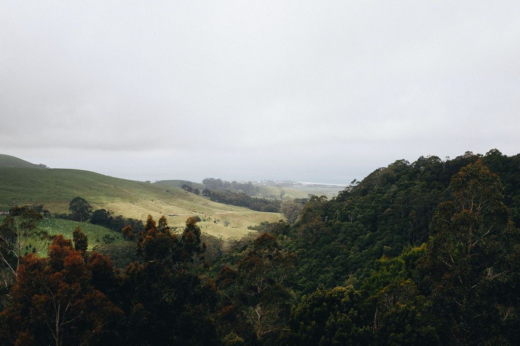 Photo of Others in Hordern Vale