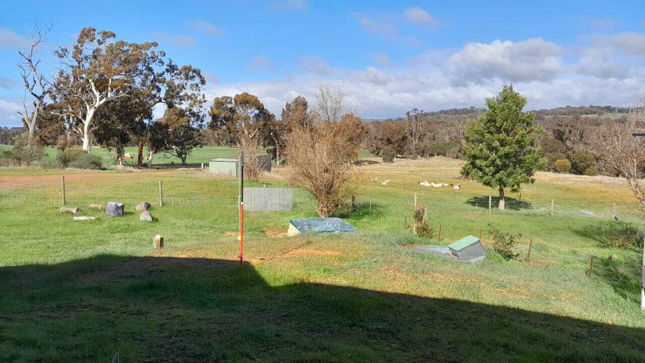 Photo of Outdoor in Williams