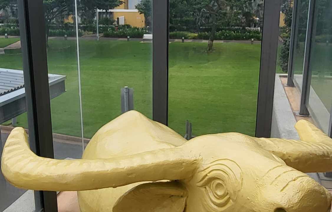 Photo of Others in Darwin City Centre