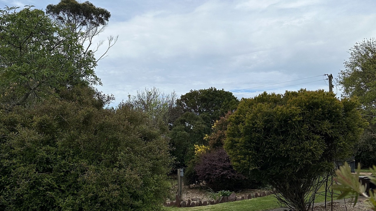 Photo of Outdoor in Lymwood