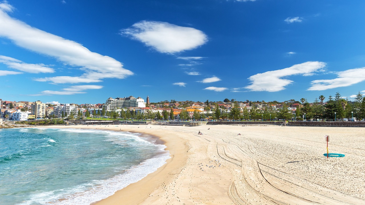 Photo of Others in Coogee