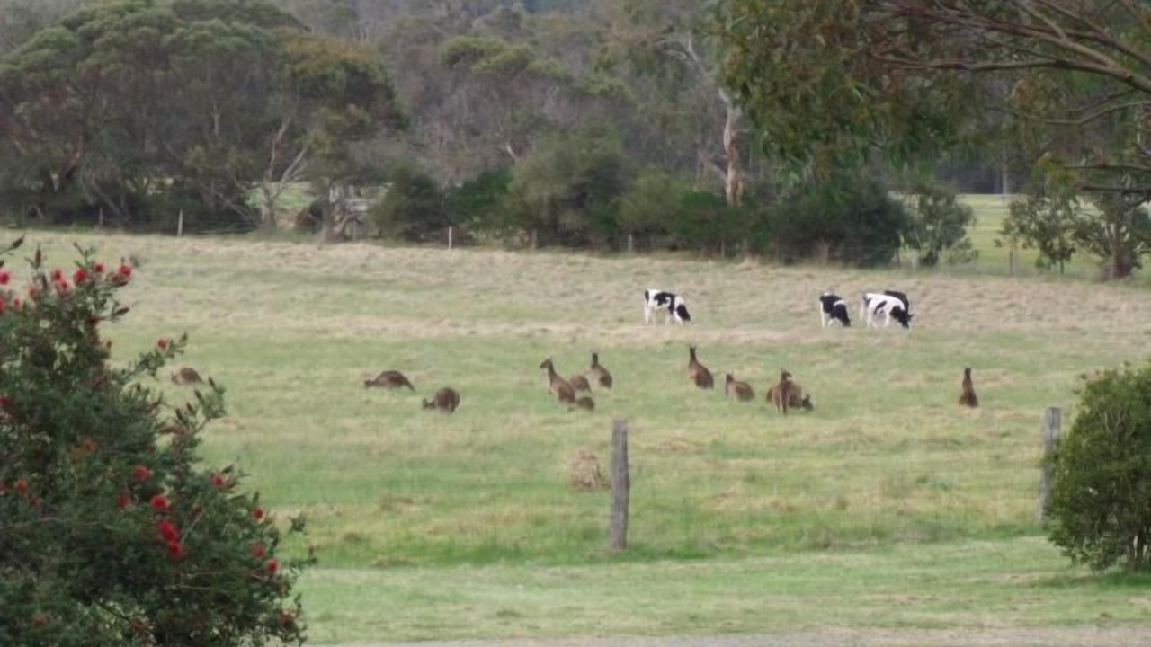 Photo of Outdoor in Willyung