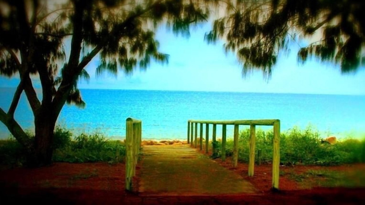Photo of Others in Bowen