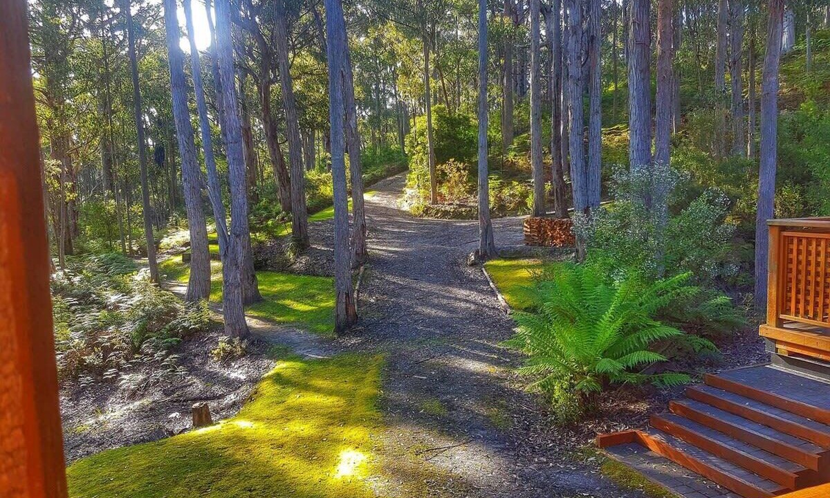Photo of Outdoor in Hastings