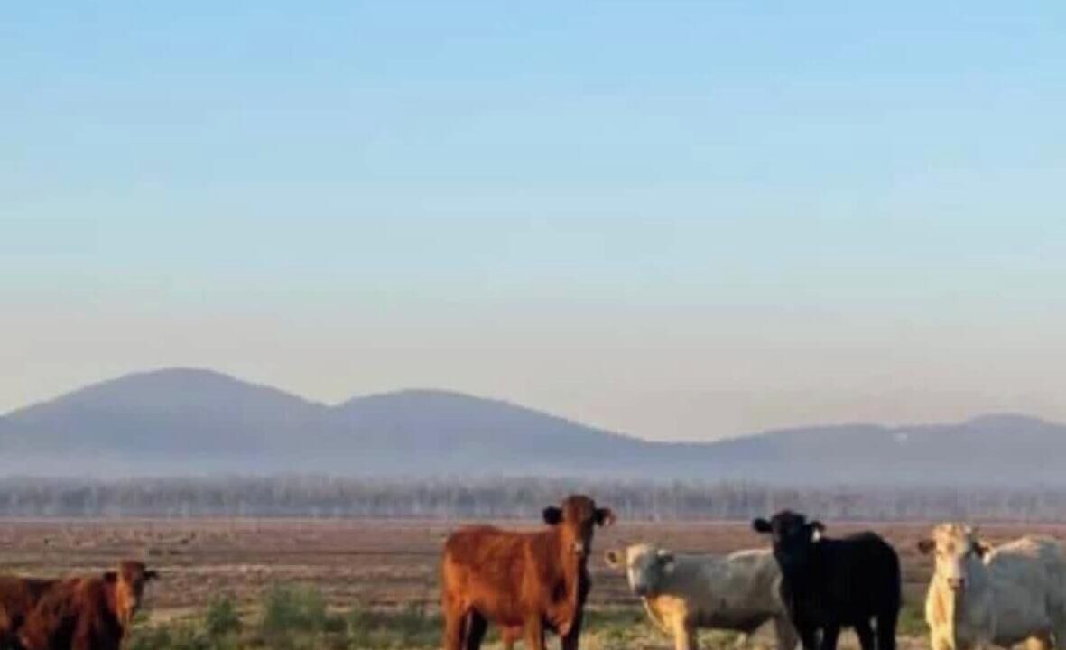 Photo of Others in Verges Creek