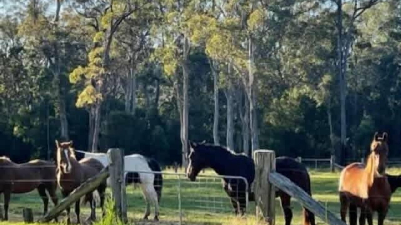 Photo of Others in Verges Creek