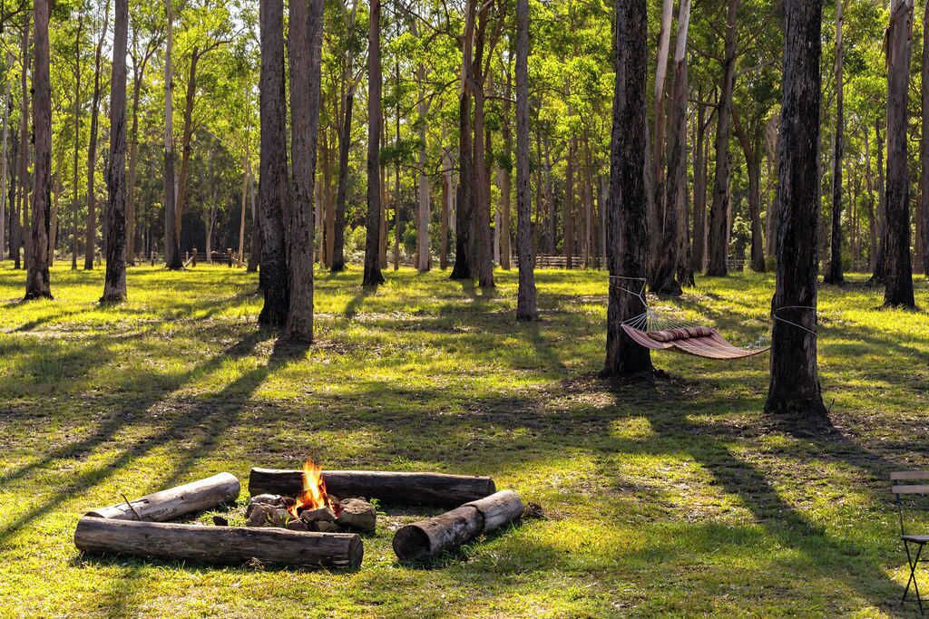 Photo of Outdoor in Verges Creek