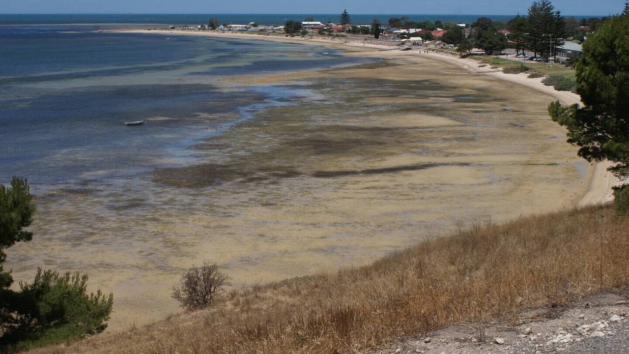 Photo of Others in Dalrymple