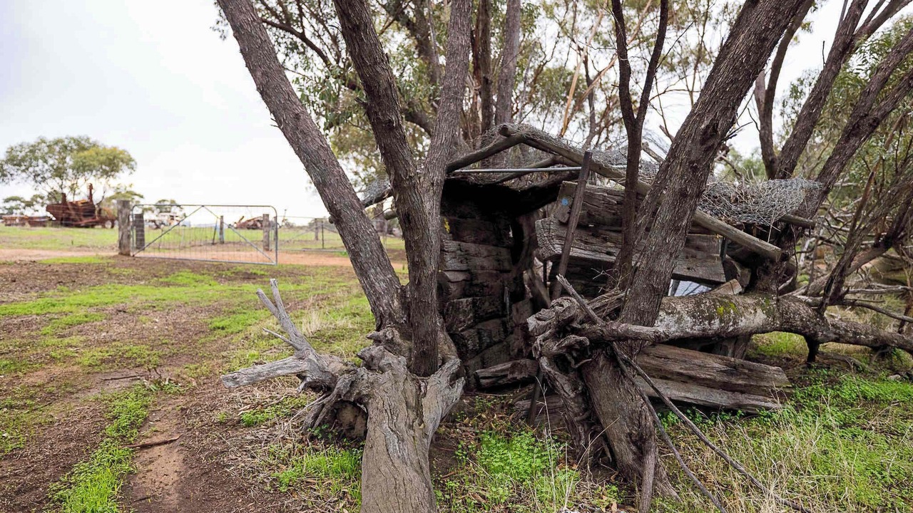 Photo of Others in Brookton