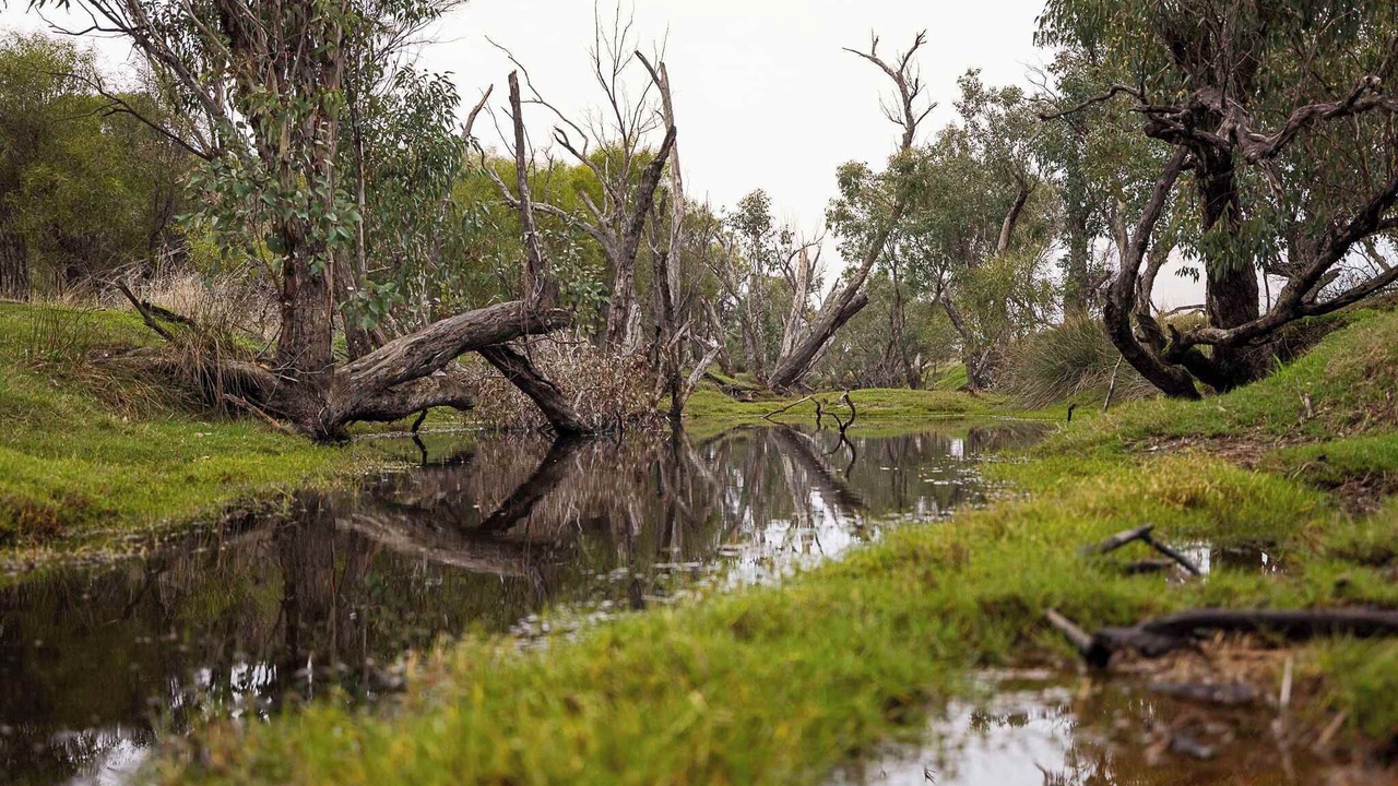 Photo of Others in Brookton