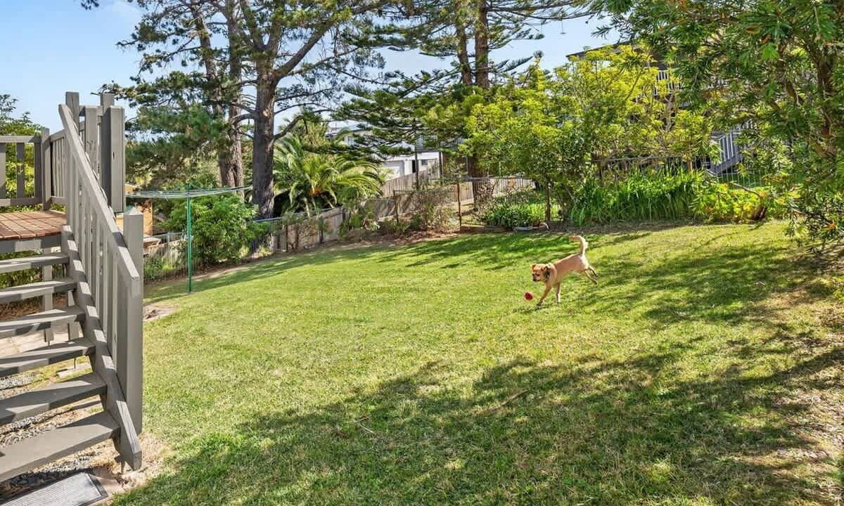 Photo of Others in Tuross Head