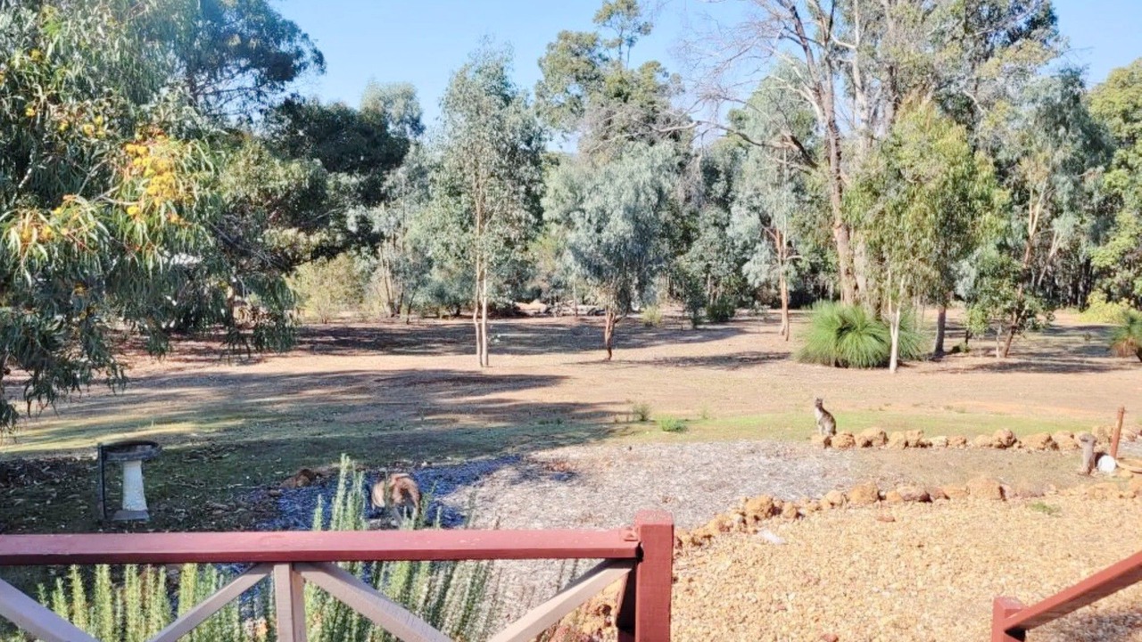 Photo of Outdoor in Jalbarragup