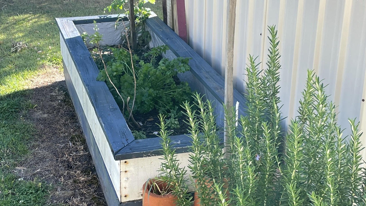 Photo of Outdoor in Brooms Head