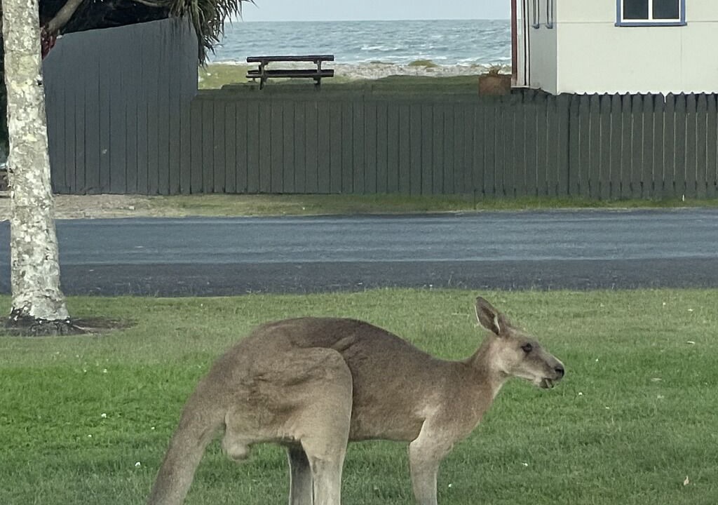 Photo of Others in Brooms Head