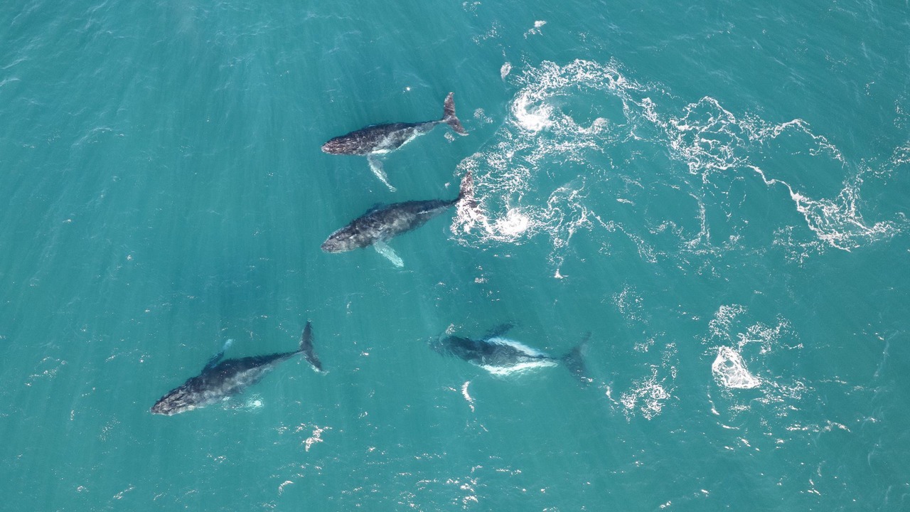 Photo of Others in Anna Bay
