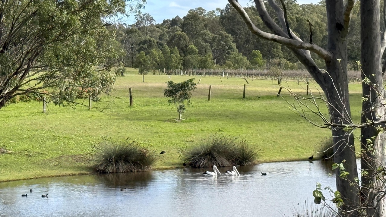 Photo of Others in Pokolbin