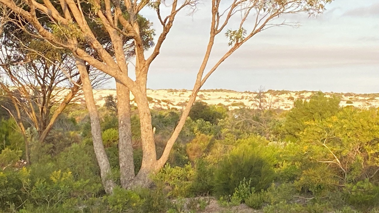 Photo of Others in Lancelin