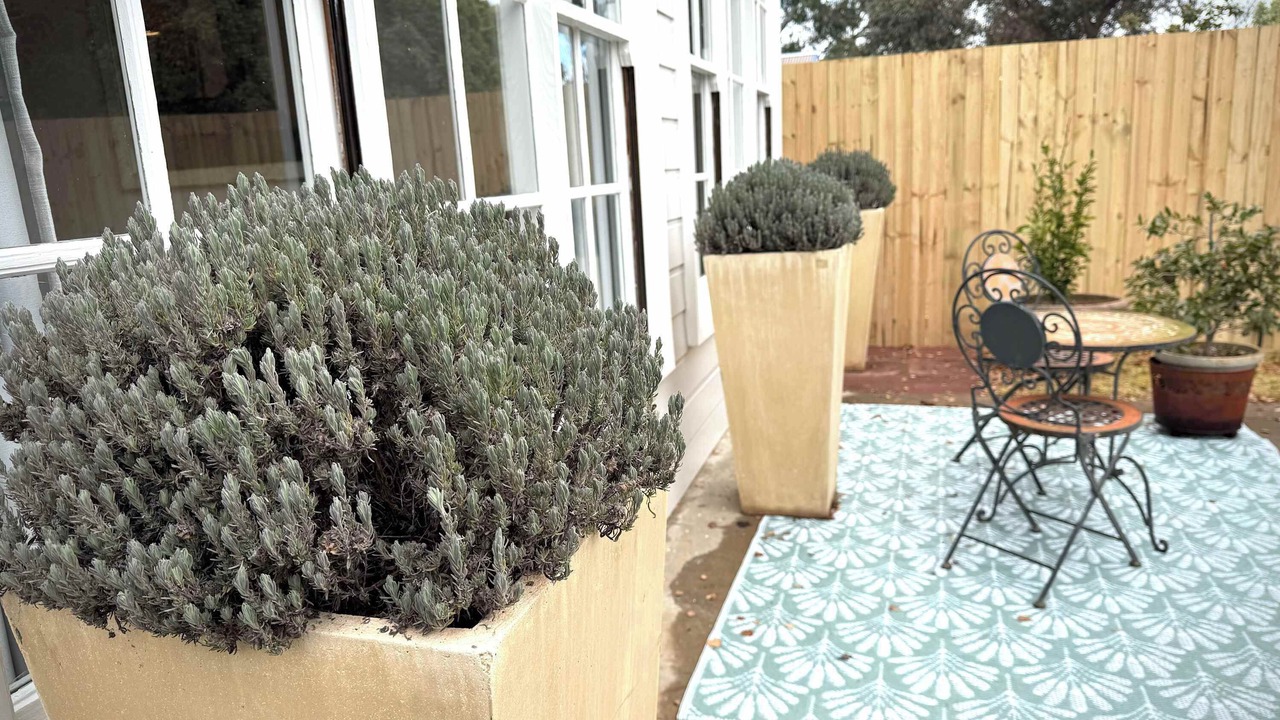 Photo of Outdoor in Orange East