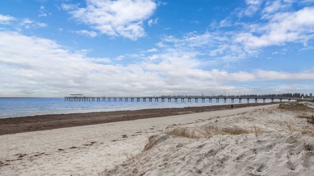 Photo of Others in Largs Bay