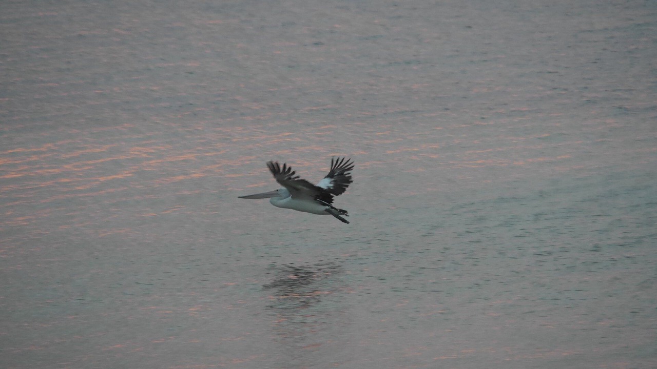 Photo of Others in Lake Wangary