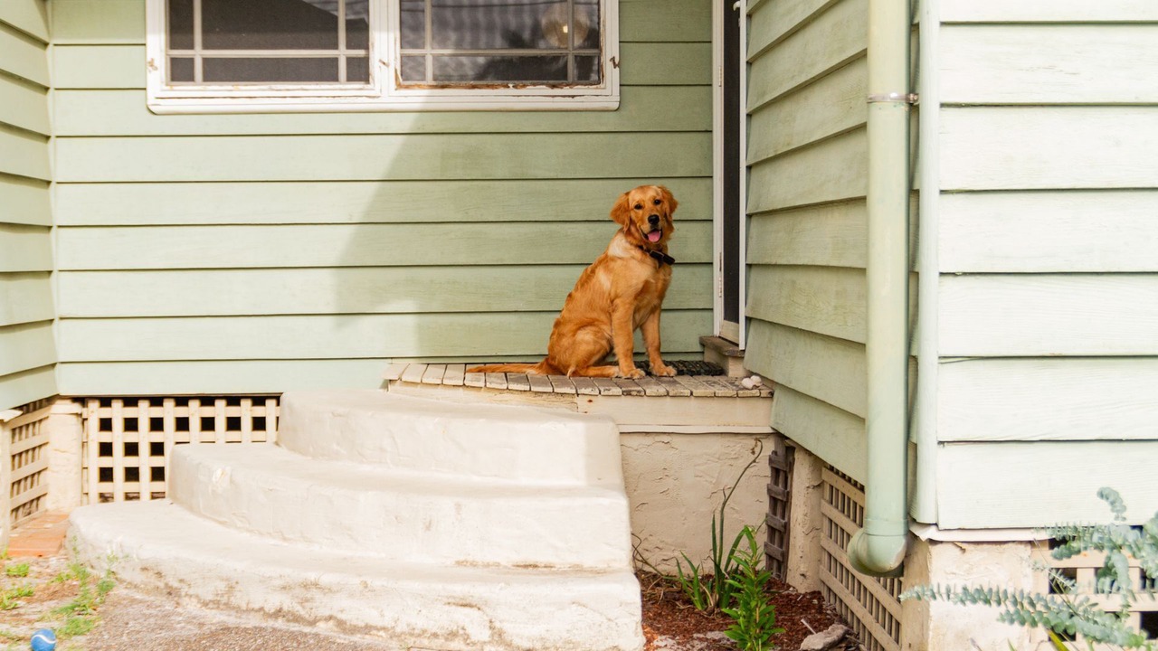 Photo of Outdoor in Noraville