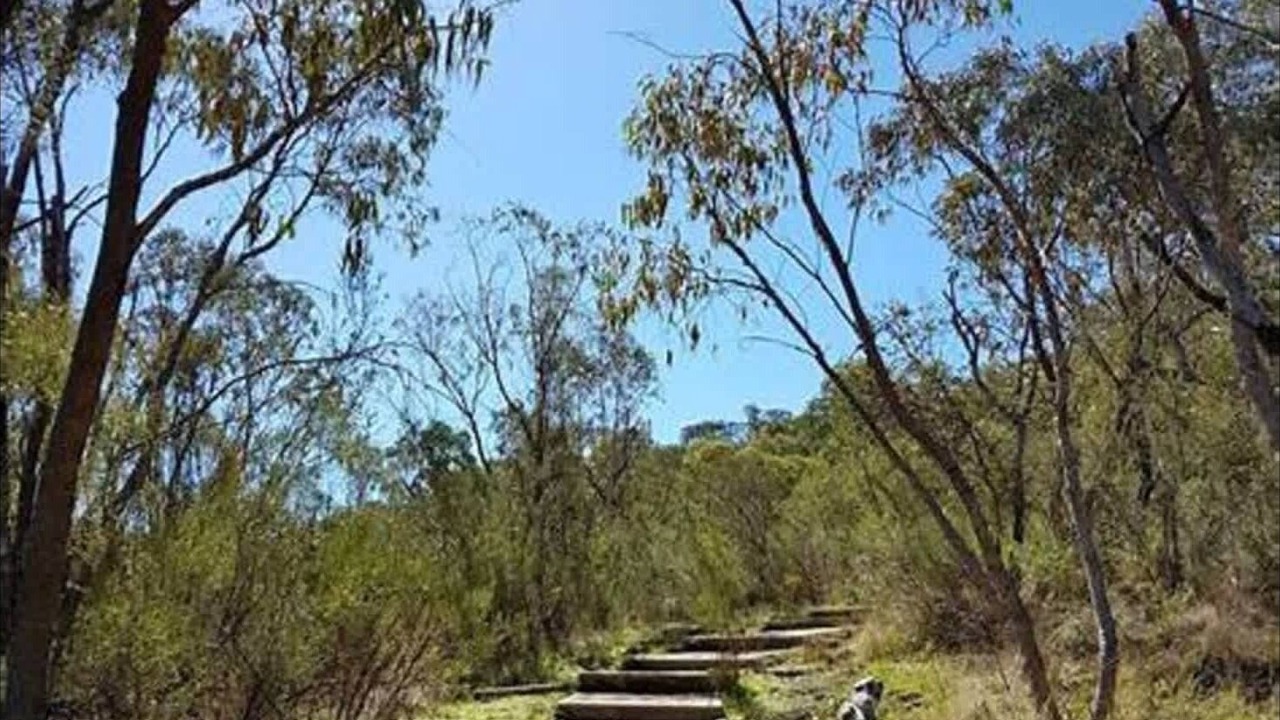 Photo of Others in Kambah