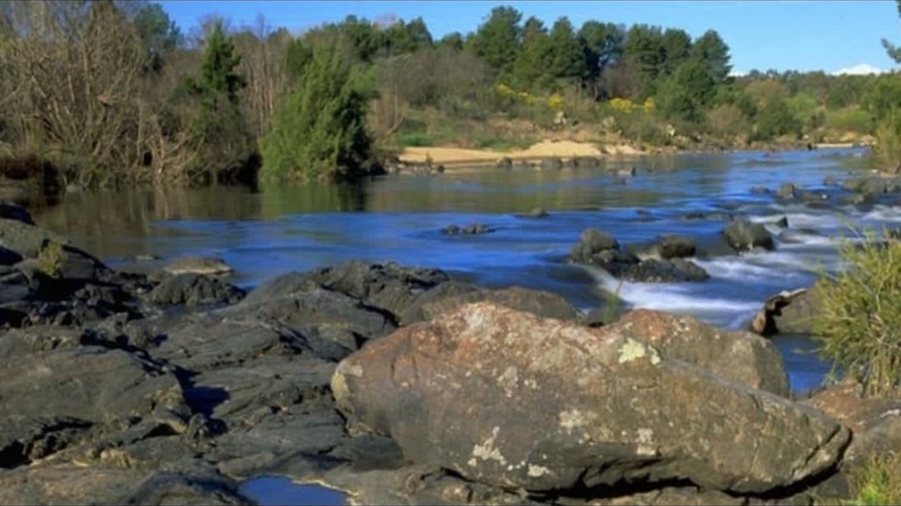 Photo of Outdoor in Kambah