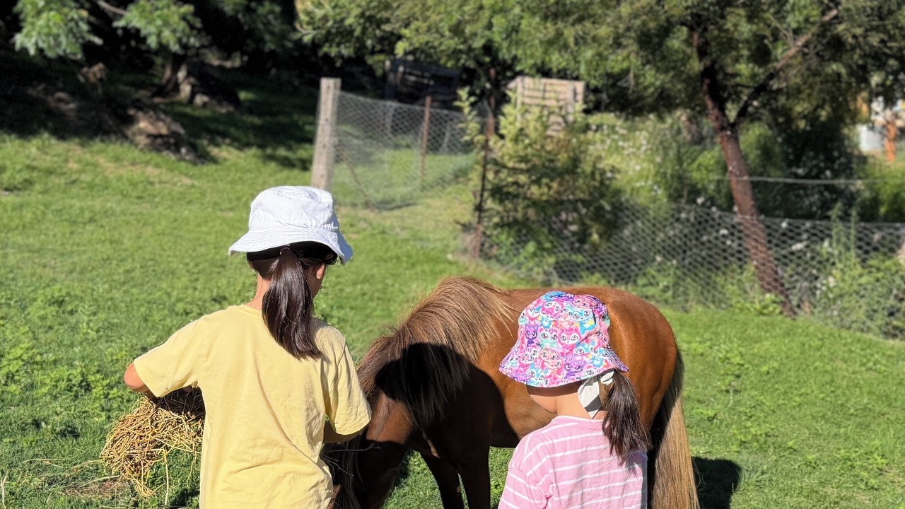 Photo of Others in Wollombi