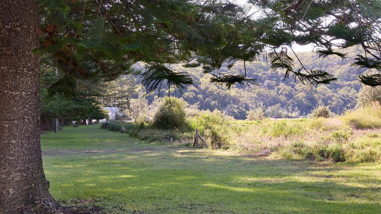 Photo of Others in Patonga