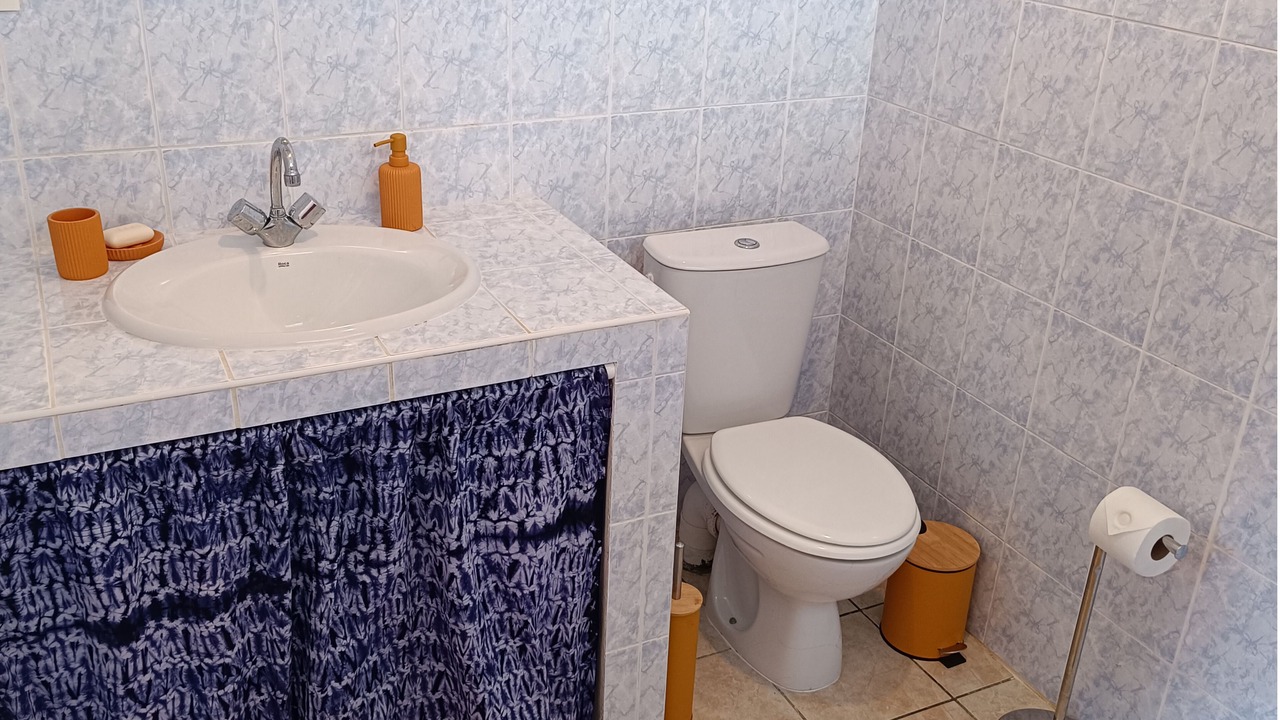 Photo of Bathroom in Montsinery-Tonnegrande