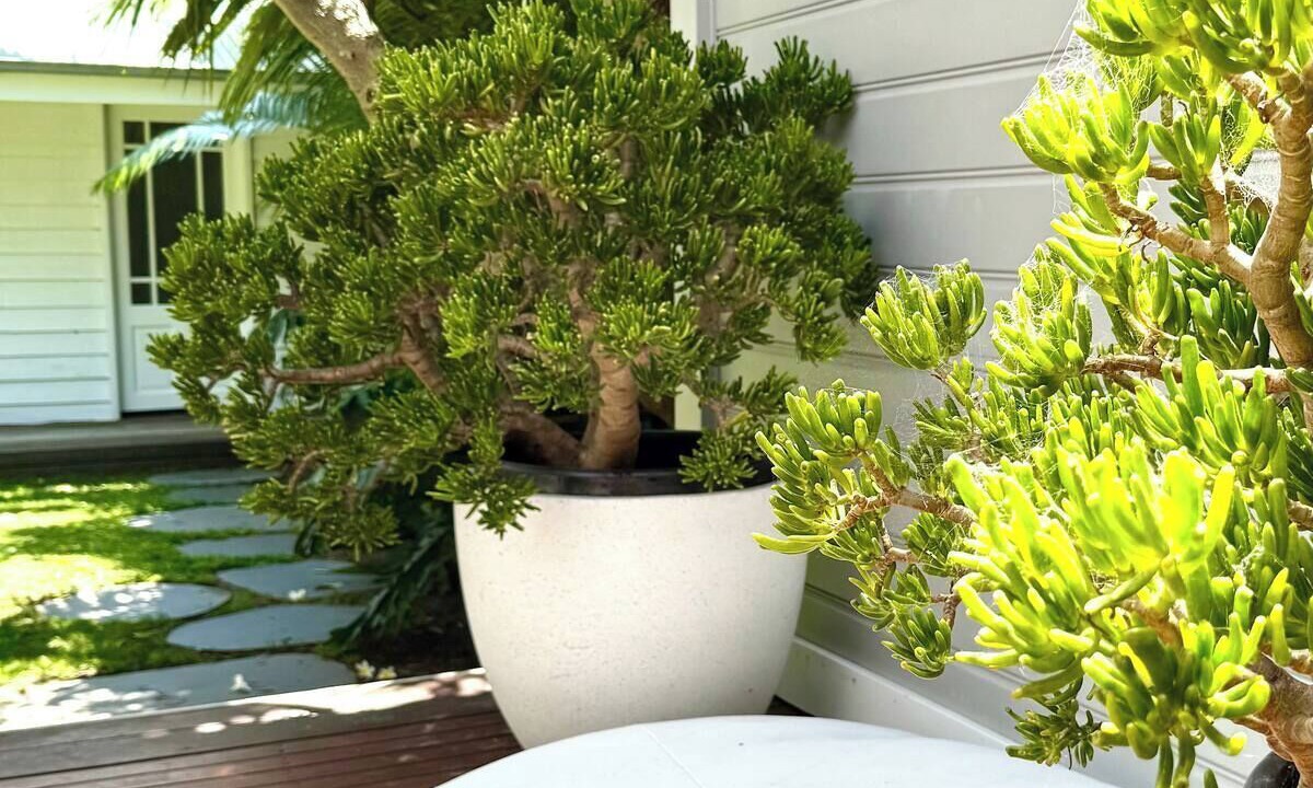 Photo of Outdoor in Freshwater