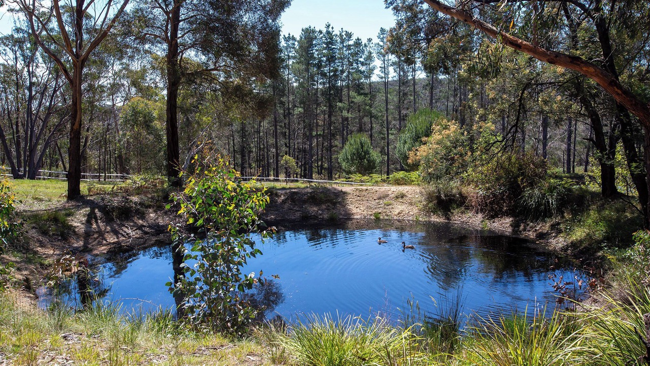 Photo of Outdoor in Berrima