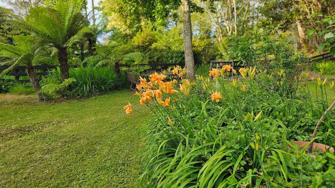 Photo of Outdoor in Gladysdale