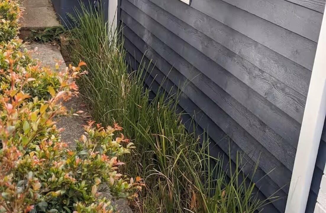 Photo of Outdoor in Mirrabooka