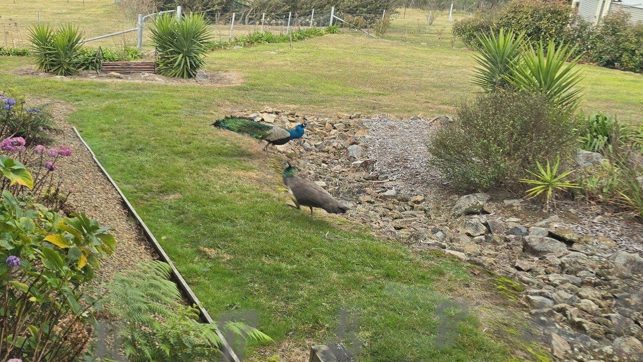 Photo of Outdoor in Majors Creek