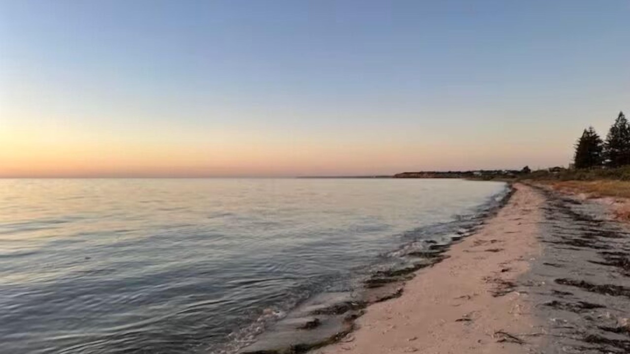 Photo of Others in Port Vincent