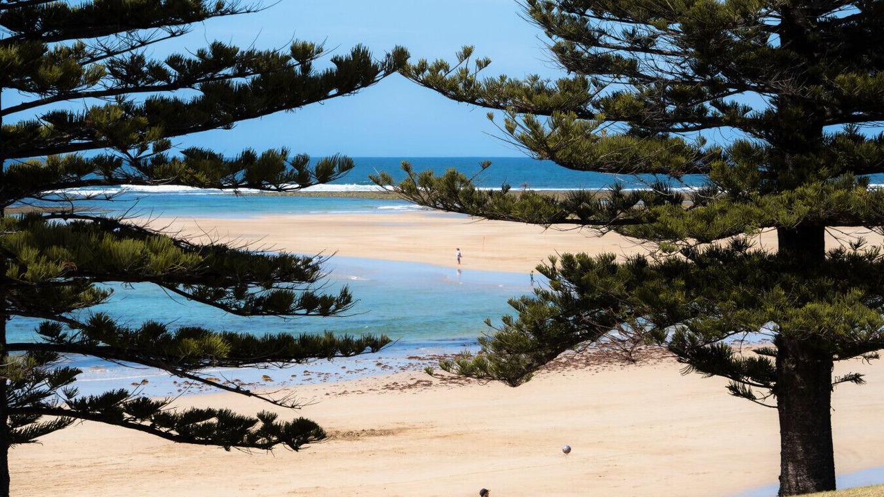 Photo of Others in Torquay